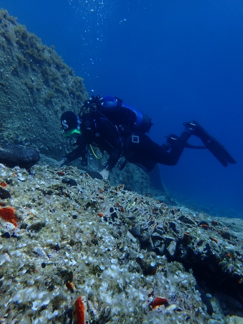 Plongeur observant des amphores repérées au sud de Délos ©Nathalie Gassiolle